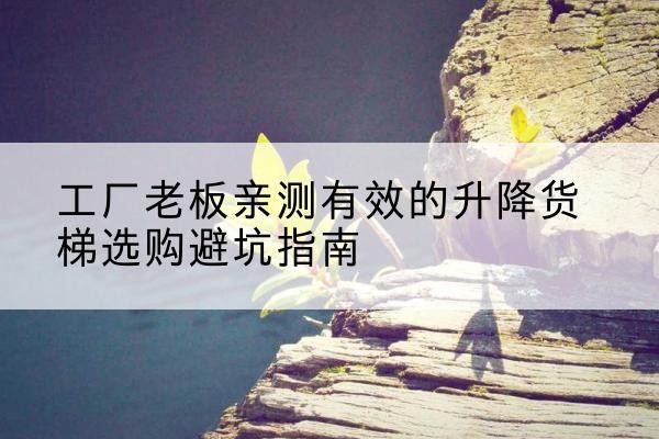 抚州升降货梯怎么选-工厂老板亲测有效的升降货梯选购避坑指南