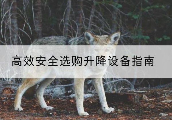抚州升降货梯厂家推荐-*安全选购升降设备指南
