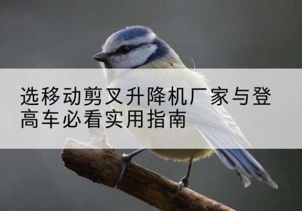 抚州电动升降机厂家-选移动剪叉升降机厂家与登高车必看实用指南