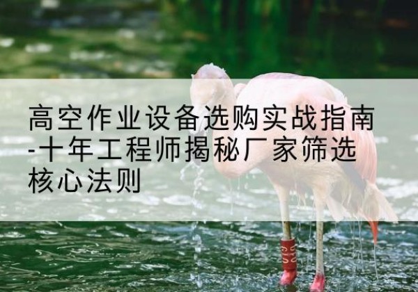 抚州剪叉式升降机厂家-高空作业设备选购实战指南-十年工程师揭秘厂家筛选核心法则